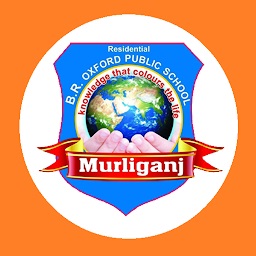 B.R. Oxford Public School